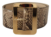 Dolce & Gabbana Brown Exotic Wide Waist Leather Gold Metal Buckle Belt -   -  Dolce & Gabbana.